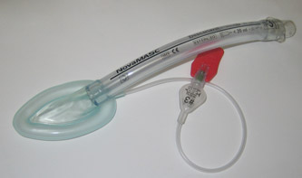 laryngeal mask